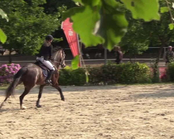 Pfingssturnier Bochum-Nord 2018