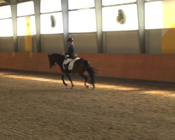 Reitturnier Frechen-Grefrath - Sonnenhof 2018