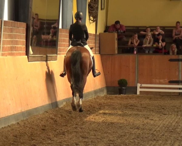 Reitturnier Frechen-Grefrath - Sonnenhof 2018