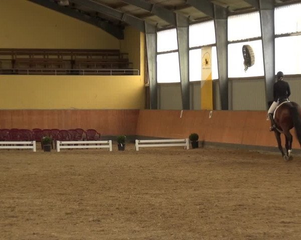 Reitturnier Frechen-Grefrath - Sonnenhof 2018