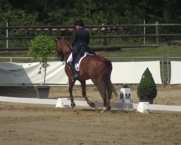 Reitturnier Frechen-Grefrath - Sonnenhof 2018