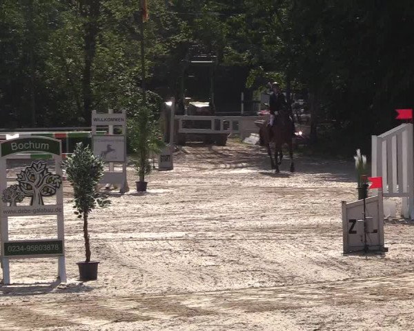 Pfingssturnier Bochum-Nord 2018
