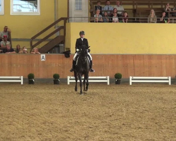 Reitturnier Frechen-Grefrath - Sonnenhof 2018