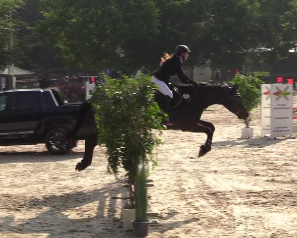 Pfingssturnier Bochum-Nord 2018