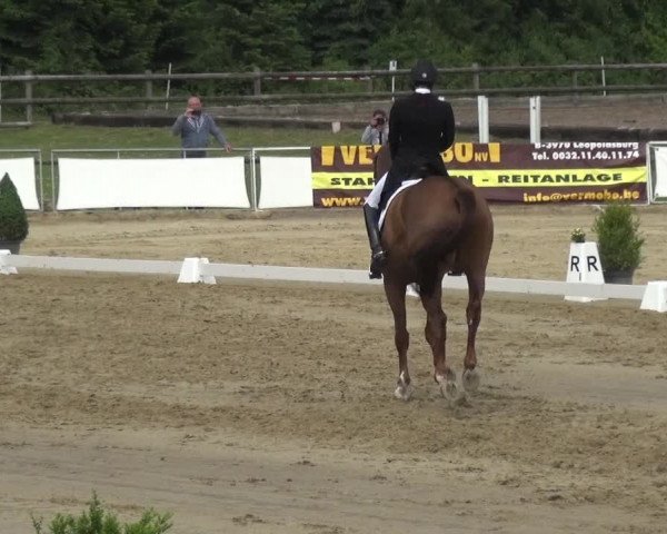 Reitturnier Frechen-Grefrath - Sonnenhof 2018
