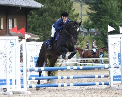 Springpferd Laro CH (Schweizer Warmblut, 2011, von Landjuweel St Hubert)