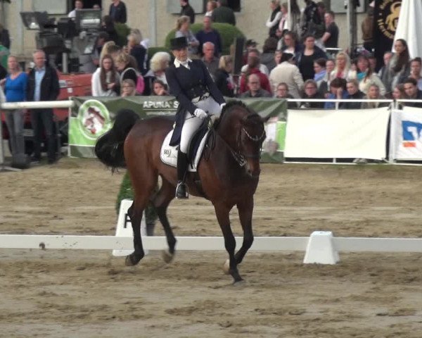 Reitturnier Frechen-Grefrath - Sonnenhof 2018
