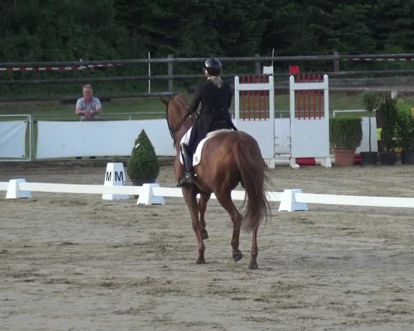Reitturnier Frechen-Grefrath - Sonnenhof 2018