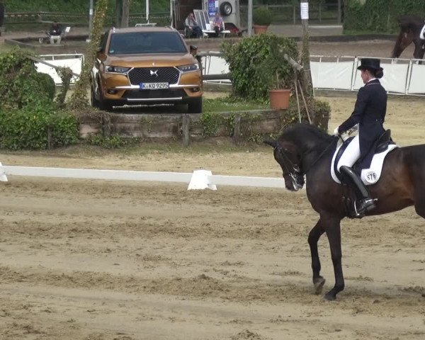 Reitturnier Frechen-Grefrath - Sonnenhof 2018