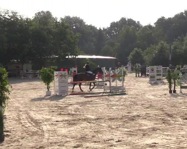 Pfingssturnier Bochum-Nord 2018