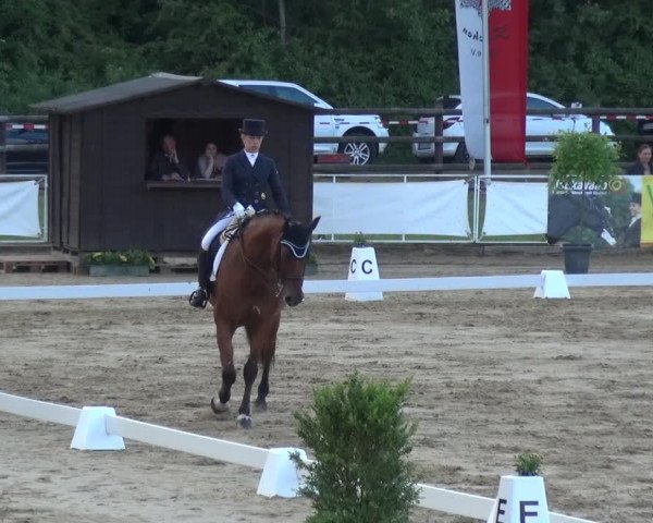 Reitturnier Frechen-Grefrath - Sonnenhof 2018