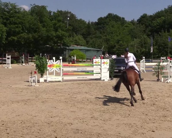 Pfingssturnier Bochum-Nord 2018