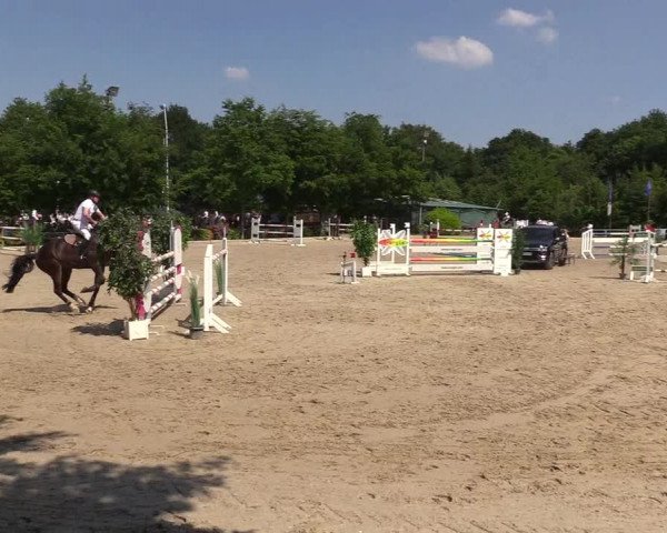 Pfingssturnier Bochum-Nord 2018