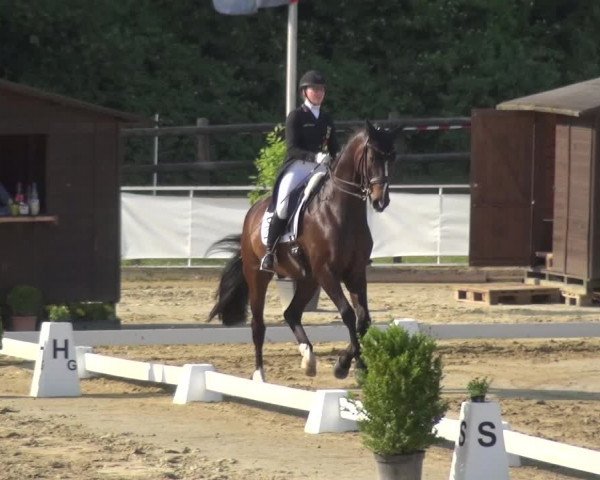 Reitturnier Frechen-Grefrath - Sonnenhof 2018