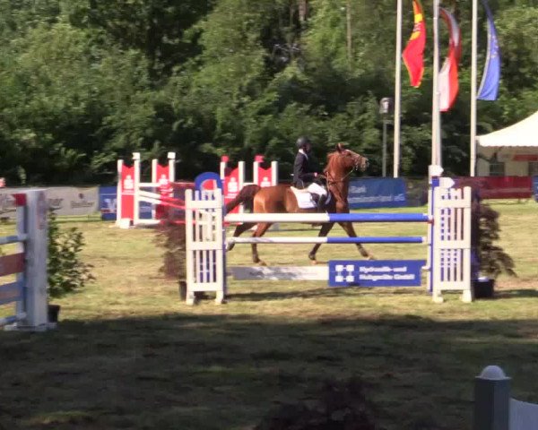 Pfingstturnier Borken 2018