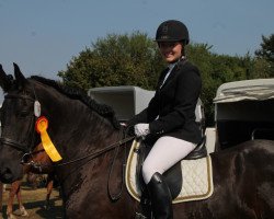 dressage horse Theo von Lasbek (Friese, 2006, from Wobke 403)
