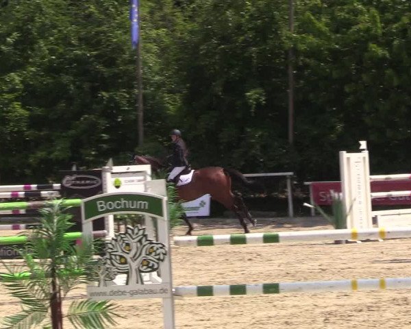 Pfingssturnier Bochum-Nord 2018