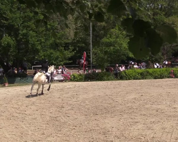 Pfingssturnier Bochum-Nord 2018