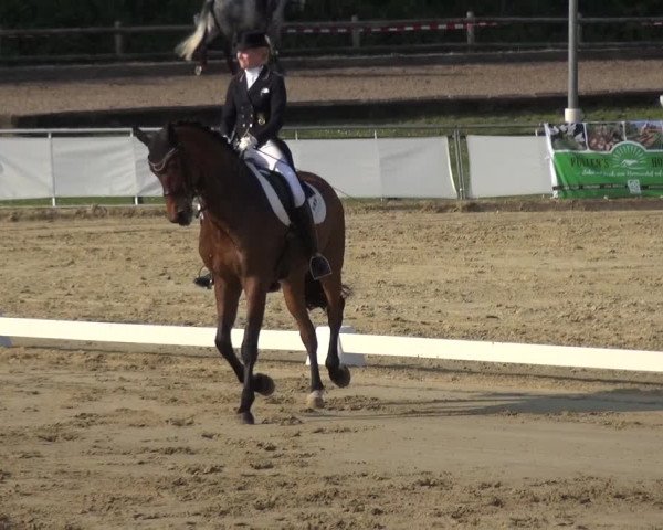 Reitturnier Frechen-Grefrath - Sonnenhof 2018