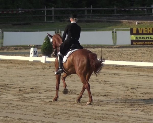 Reitturnier Frechen-Grefrath - Sonnenhof 2018