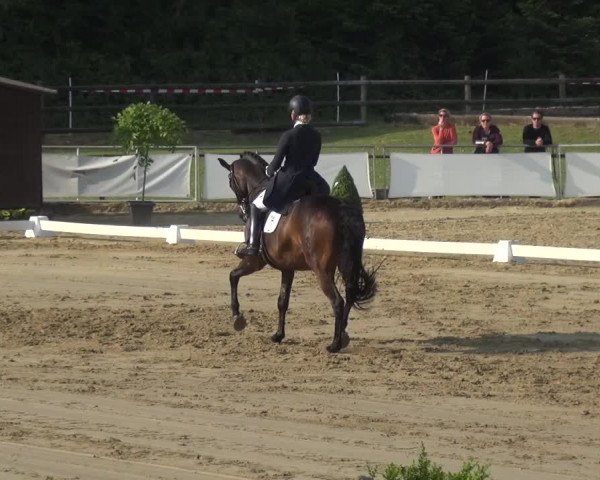 Reitturnier Frechen-Grefrath - Sonnenhof 2018