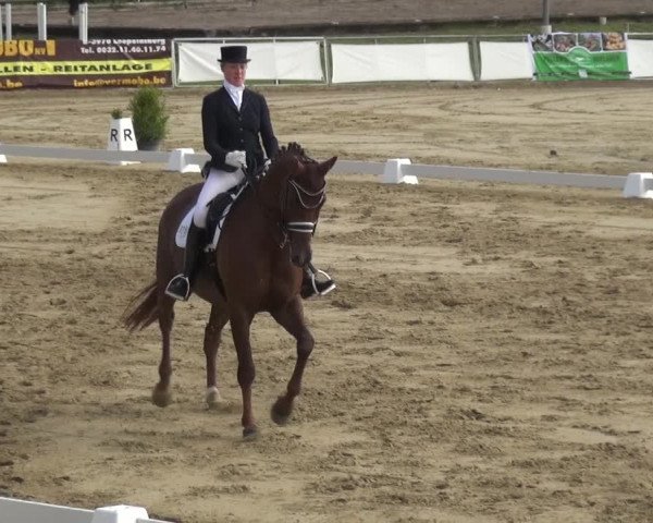 Reitturnier Frechen-Grefrath - Sonnenhof 2018