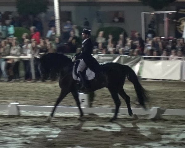 Reitturnier Frechen-Grefrath - Sonnenhof 2018