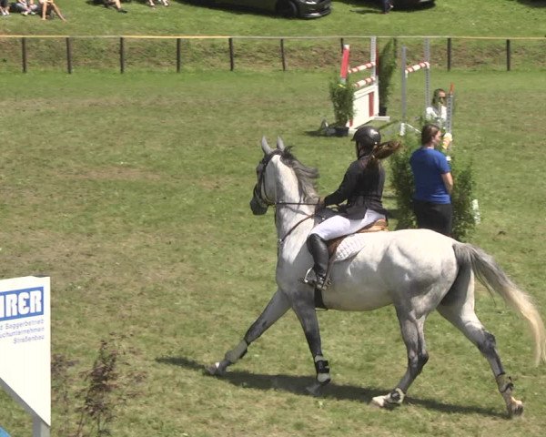 Reitturnier Jettingen 2018