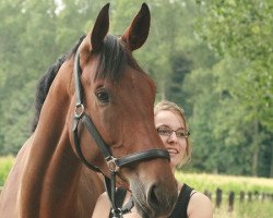 jumper Rigodonna (Westphalian, 2005, from Rockwell)