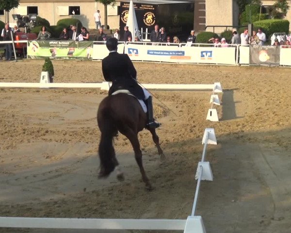 Reitturnier Frechen-Grefrath - Sonnenhof 2018