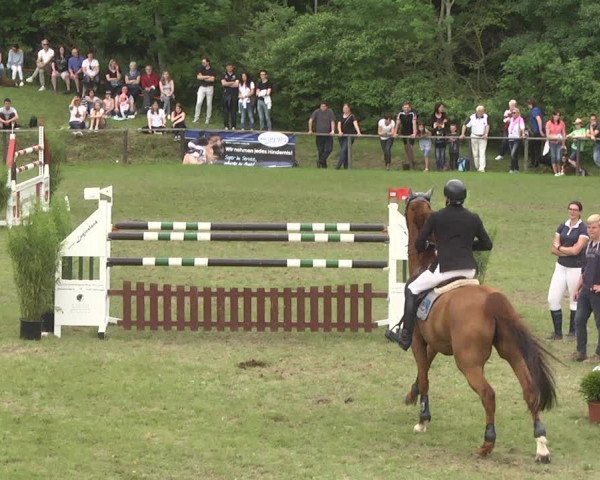Reitturnier Jettingen 2018
