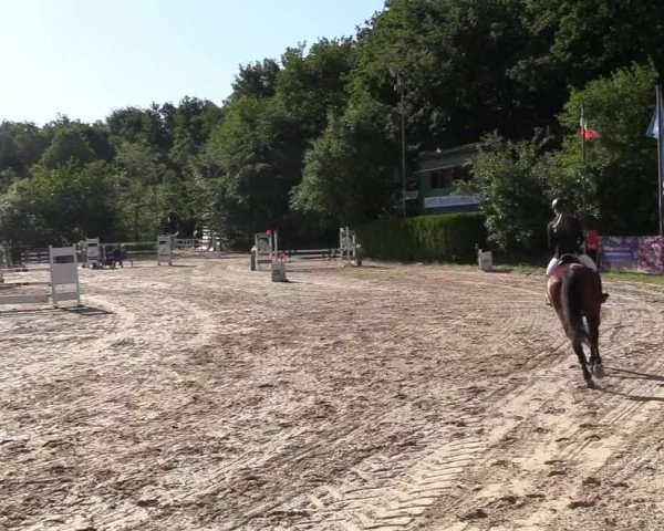 Pfingssturnier Bochum-Nord 2018