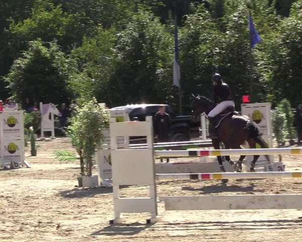 Pfingssturnier Bochum-Nord 2018