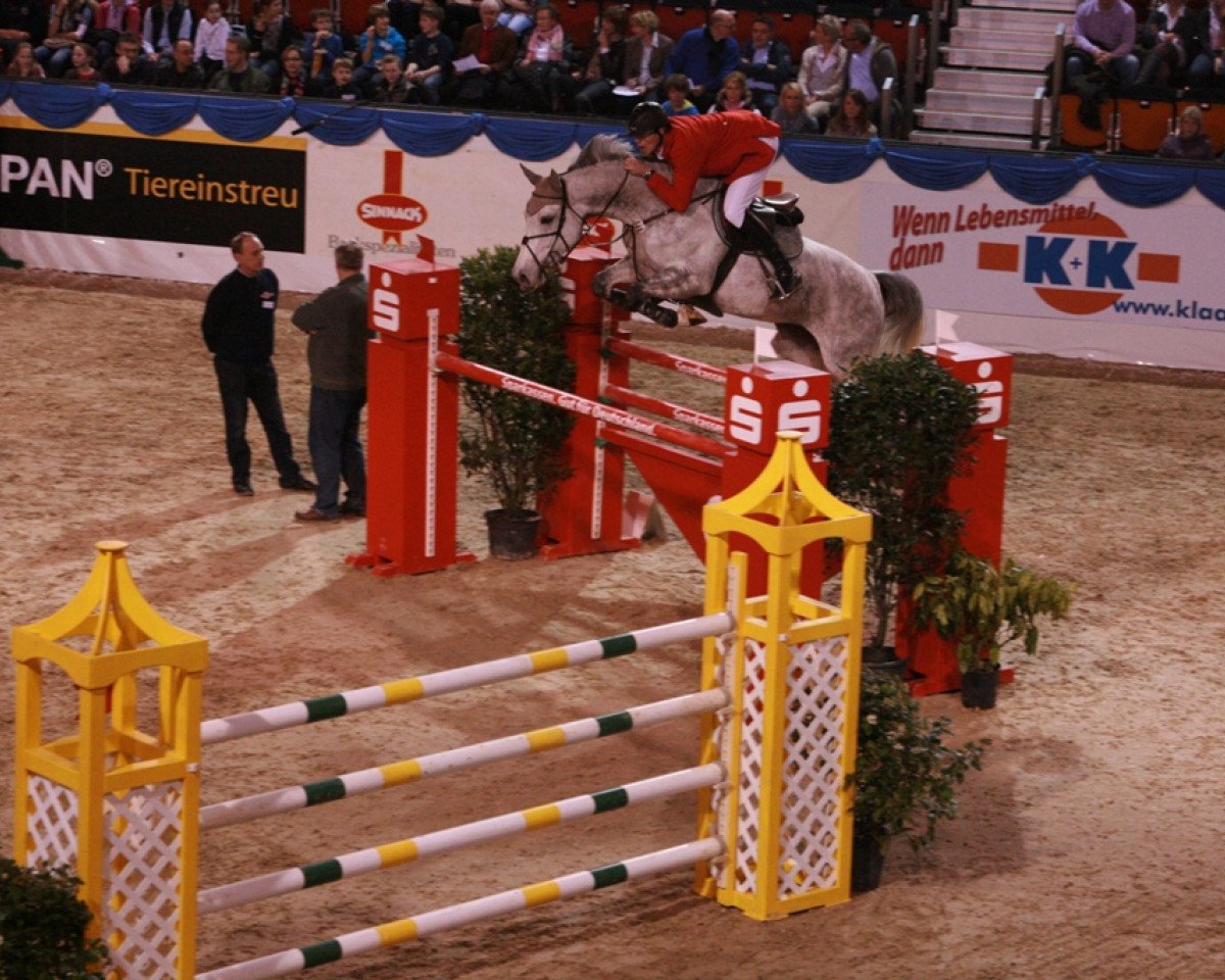 Springpferd Darling (Westfale, 2004, von Cornet Obolensky)