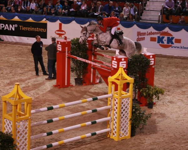 Springpferd Darling (Westfale, 2004, von Cornet Obolensky)