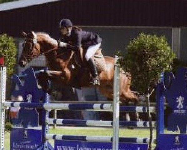 jumper Little Joe (Hanoverian, 2002, from Latimer) jumper Little Joe (Hanoverian, 2002, from Latimer)