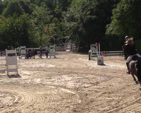 Pfingssturnier Bochum-Nord 2018