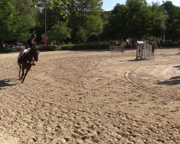 Pfingssturnier Bochum-Nord 2018