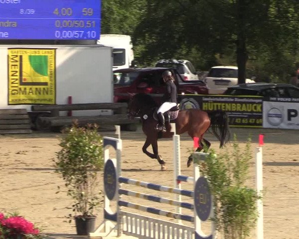 Reitturnier Iserlohn-Kalthof 2018