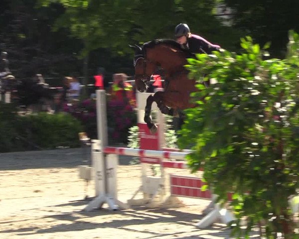 Pfingssturnier Bochum-Nord 2018