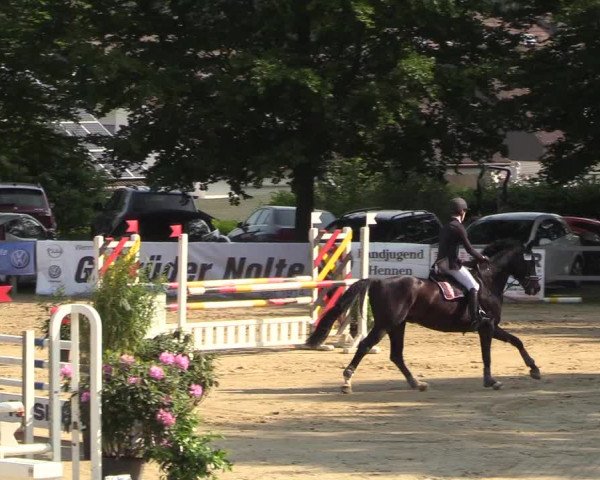 Reitturnier Iserlohn-Kalthof 2018