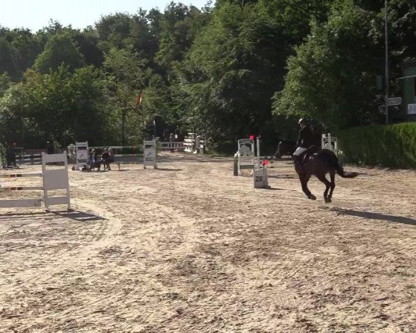 Pfingssturnier Bochum-Nord 2018