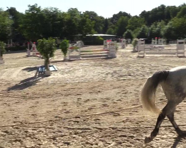 Pfingssturnier Bochum-Nord 2018
