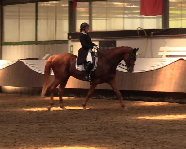 Pfingssturnier Bochum-Nord 2018