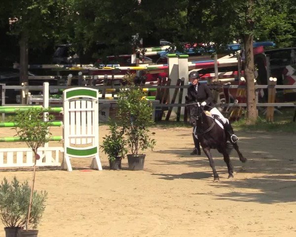 Reitturnier Iserlohn-Kalthof 2018