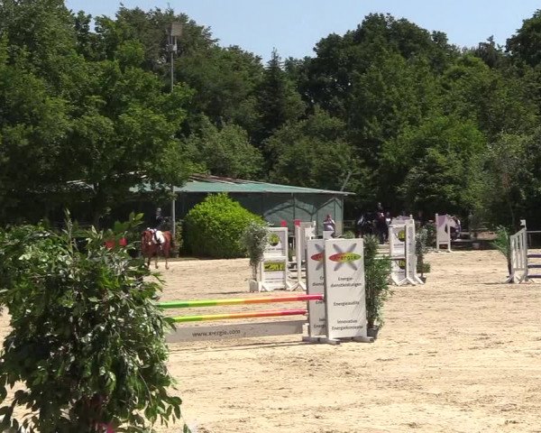 Pfingssturnier Bochum-Nord 2018