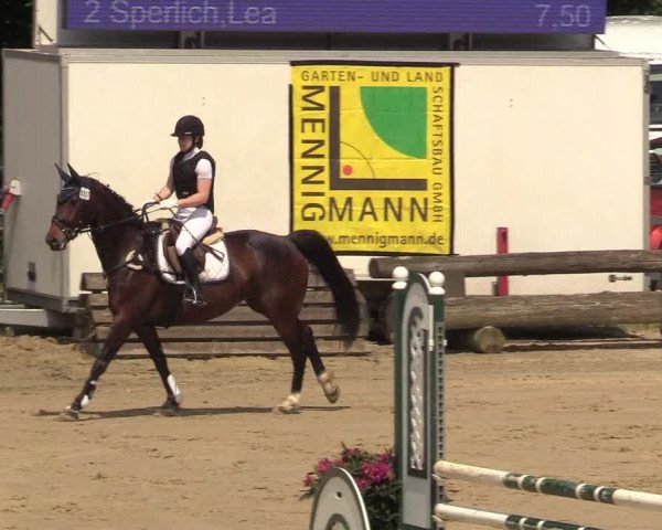 Reitturnier Iserlohn-Kalthof 2018
