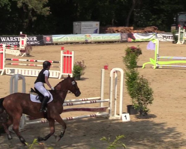 Reitturnier Iserlohn-Kalthof 2018