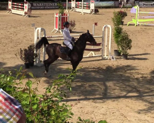 Reitturnier Iserlohn-Kalthof 2018