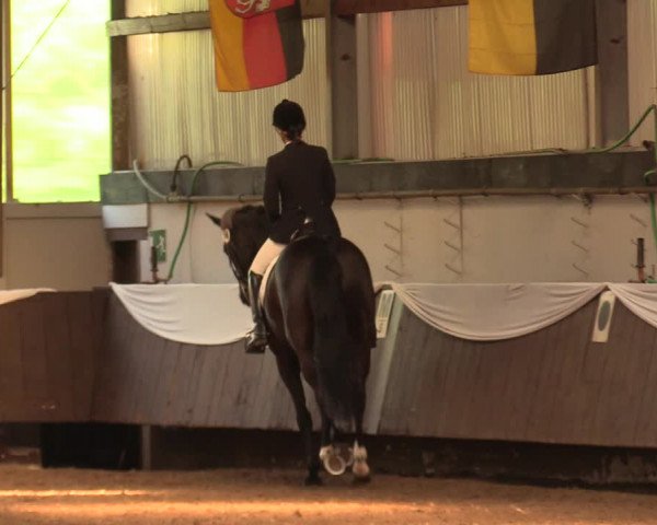 Pfingssturnier Bochum-Nord 2018
